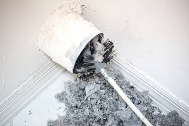 Best Professional Duct Cleaning Services  in Whitesburg, KY